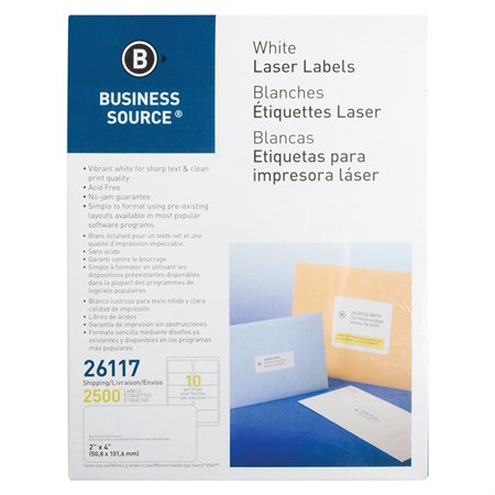 Premium Mailing Labels Package of 250 sheets 2 x 4 in. (2500)