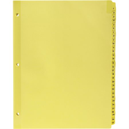 Clear Plastic Tab Index Dividers 31 tabs 1-31