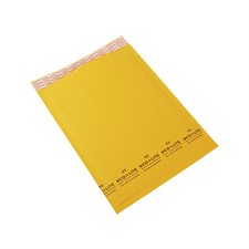 Ecolite Shipping Envelope #2. 8-1/2 x 12 in.