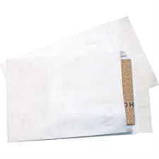 Tyvek Envelope 10 x 13 in. 1-1/2 in. expansion. pkg 25