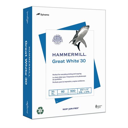 Great White® 30 Recycled Copy Paper letter