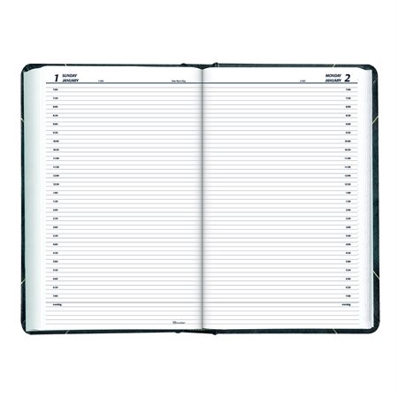 Daily Planner (2025) 13-3 / 8 x 8 in. English