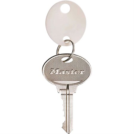 Plastic Key Tags