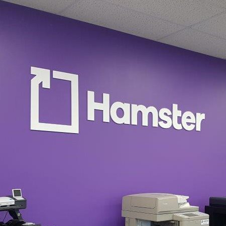 Affiche Hamster en 3D 46 x 12"