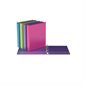 Bicolour Ring Binder 2 in. (475 sheet capacity)