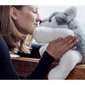 COMFORT PLUSH 4pds