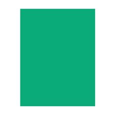 Papier de couleur EarthChoice® Hots® vert