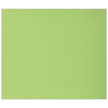 Carton de couleur vert