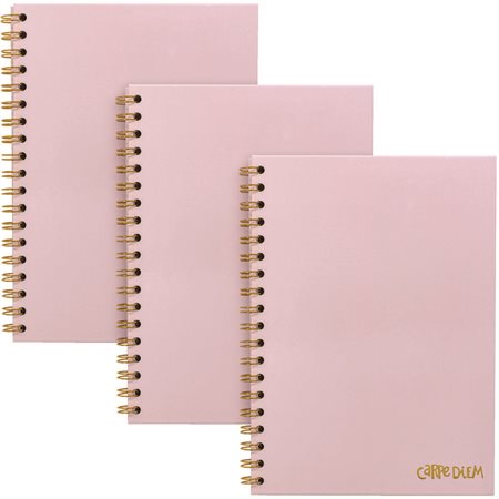 Pukka Pads Hardcover Notebooks ballerina pink