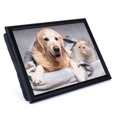Reading Cushion