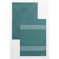 LINGE VITRES ET MIROIRS (PQT 2) - ESSENTIELS VERT