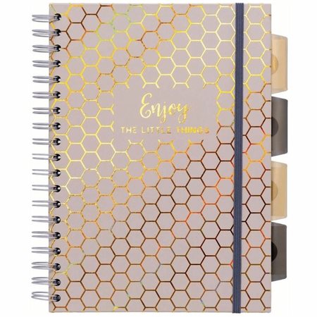 Cahier de projet Haze Pukka Pad taupe taupe