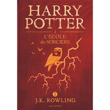 Harry Potter à l'école des sorciers, Tome 1, Harry Potter