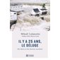Il y a  25 ans, le Déluge