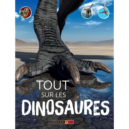 Tout sur les dinosaures