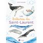 Les baleines du Saint-Laurent