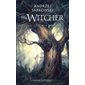 L''épée de la providence, livre 2, The Witcher