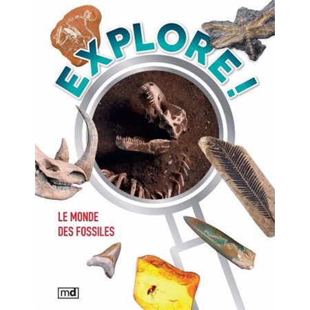 Le monde des fossiles