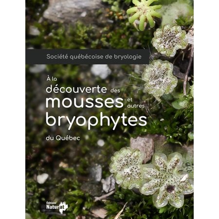 A la découverte des mousses et autres bryophytes