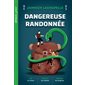 Dangereuse randonnée 1X (N / R) BRISÉ