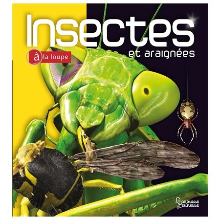 Insectes et araignées, À la loupe