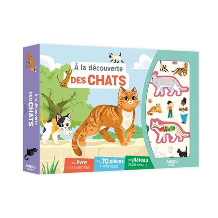 À la découverte des chats