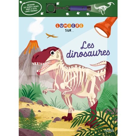 Les dinosaures, Lumière sur...