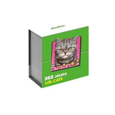 Mini Calendrier 365 jours LOL Cats