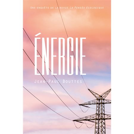 Energie, Une enquête de la revue La pensée écologique