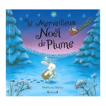 Le merveilleux Noël de Plume