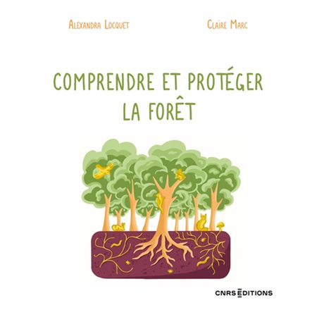 Comprendre et protéger la forêt