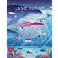 La vie marine : écosystèmes et biodiversité