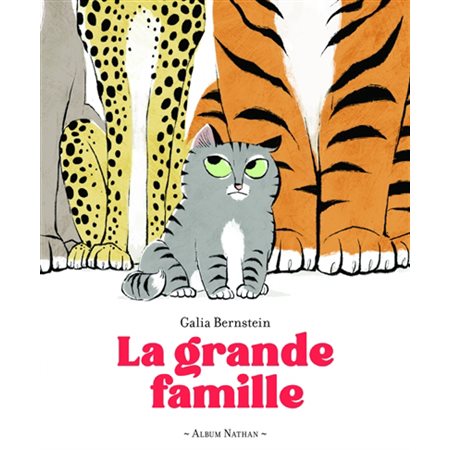 La grande famille, Album Nathan