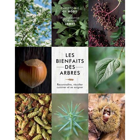 Les bienfaits des arbres : reconnaître, récolter, cuisiner et se soigner