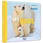 Les ours, Mon premier doc photo