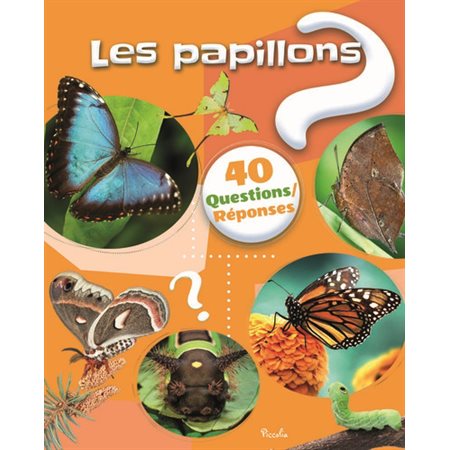 Les papillons, 40 questions réponses