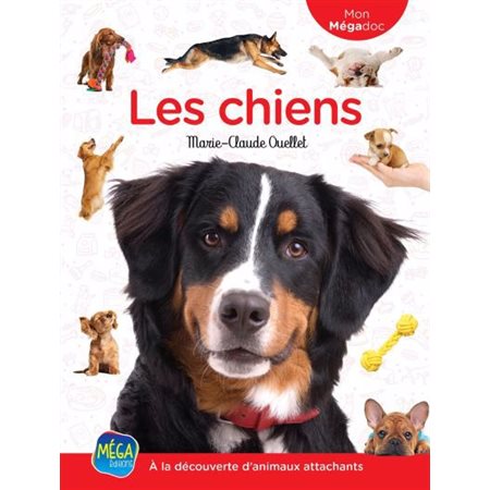 Les chiens : À la découverte d’animaux attachants