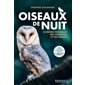 Oiseaux de nuit : le monde fascinant des chouettes et des hiboux