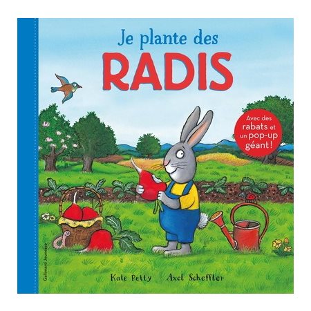 Je plante des radis