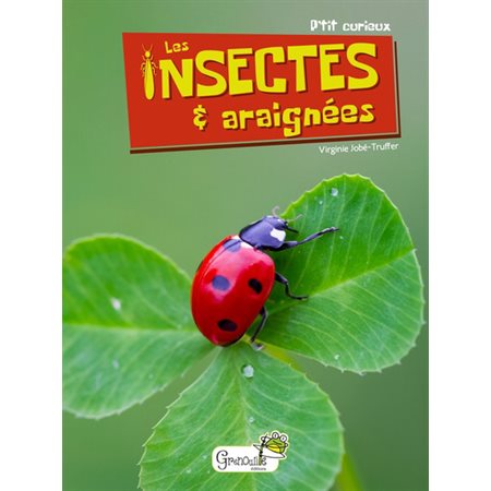 Les insectes & araignées, P'tit curieux