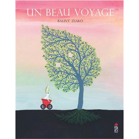 Un beau voyage