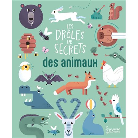 Les drôles de secrets des animaux