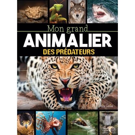 Mon grand animalier des prédateurs