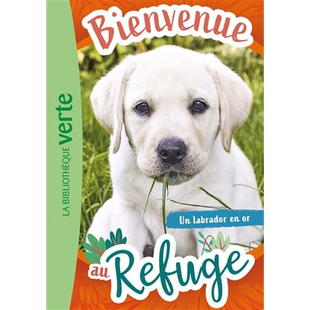 Un labrador en or, Bienvenue au refuge, 8