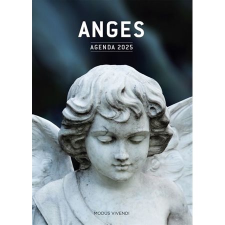 Anges - Agenda 2025