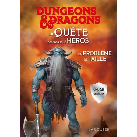 DUNGEONS & DRAGONS La Quête dont on est le héros : Un problème de taille