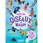 Guide des oiseaux du monde