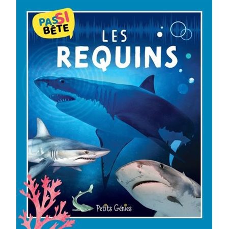 LES REQUINS, Pas si bête