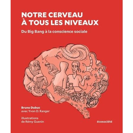 Notre cerveau à tous les niveaux