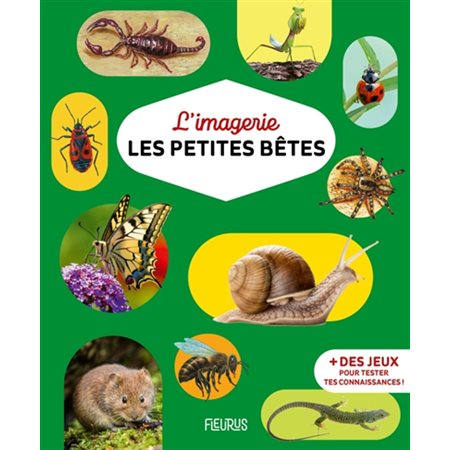 Les petites bêtes, Imagerie...